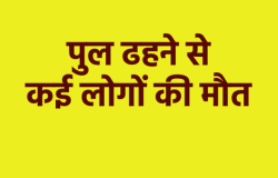 Breaking – एमपी में बड़ा हादसा, पुल गिरने से मलबे में दबे कई लोग, 3 की मौत, पुलिस
कर रही रेस्क्यू - image