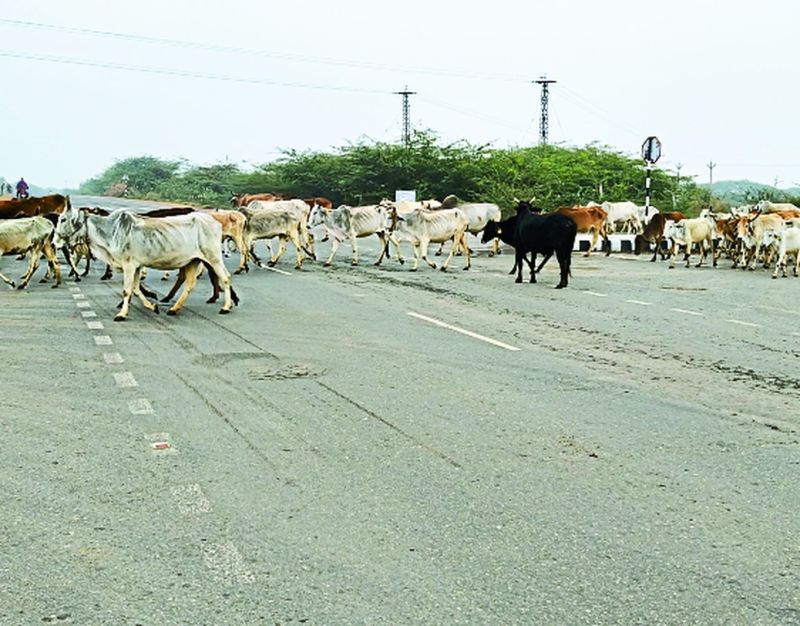 घुमाव बने ब्लैक स्पॉट, सर्विस रोड के मोड पर बंद रहती है लाइट