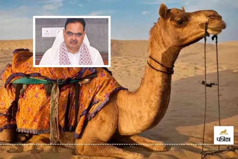 Rajasthan Animal Husbandry Department :