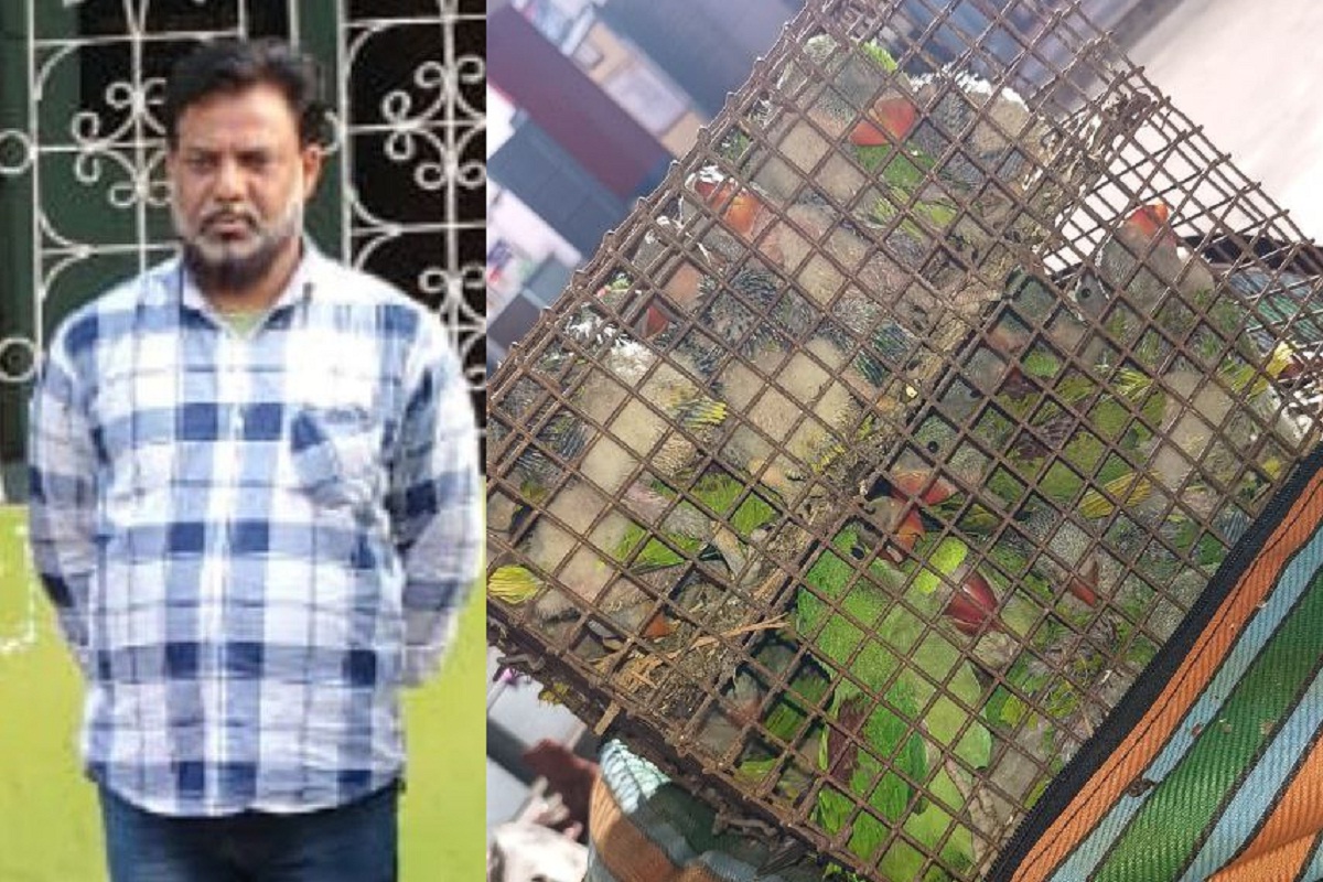राज्य पक्षी राम चिलुका की तस्करी का बड़ा खुलासा, बेचने से पहले पुलिस ने दबोचा