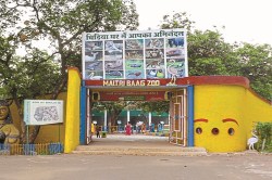 Bhilai Maitri Bag: आज दर्शकों के लिए खुला रहेगा मैत्रीबाग, 19 जनवरी को होगा
फ्लावर शो - image