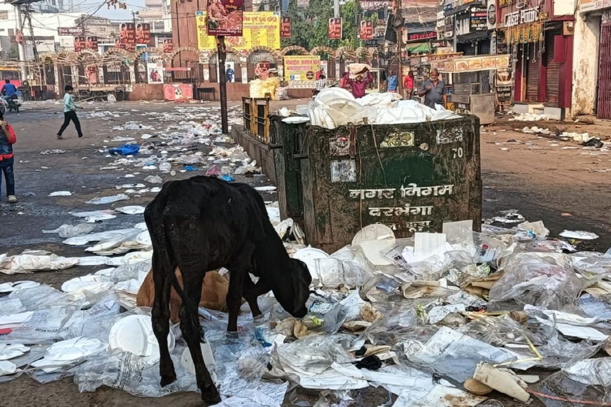 CG Nagar Nigam: शहर की सड़कों पर डस्टबिन नहीं, खामियों को समय रहते दूर नहीं किया
तो… कट सकते हैं नंबर