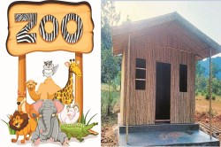 Dantewada Zoo Park: दंतेवाड़ा में पर्यटकों के लिए जू पार्क की बड़ी सौगात, ठहरने
की होगी उत्तम व्यवस्था - image