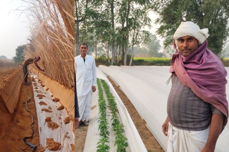 rajasthan farmers news