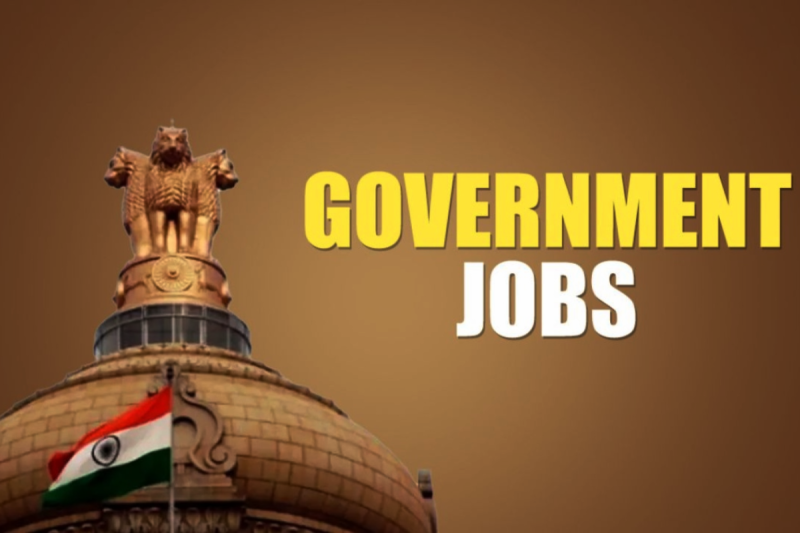 government job alert