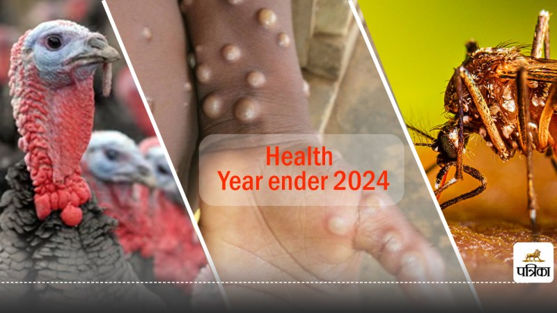 Year ender 2024 Monkeypox Dengue and COVID Variants Strike Hard