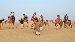 Jaisalmer Tourism: जैसलमेर की सम की रेत उगल रही सोना… जानिए पर्यटकों के लिए यहां
क्या-क्या है खास - image