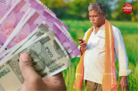 Maize farmers in MP face loss of Rs 600 per quintal below MSP