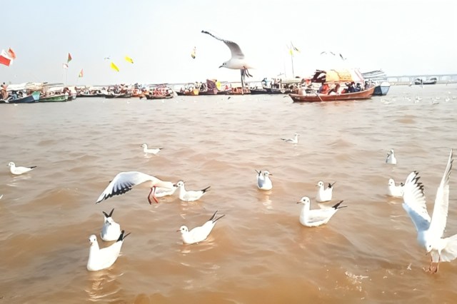 Kumbh Boatmen