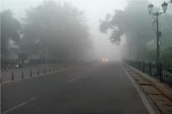 CG Weather Update: खिली धूप, फिर बढ़ेगी ठंड, मौसम साफ होते ही सुबह छाया घना
कोहरा - image