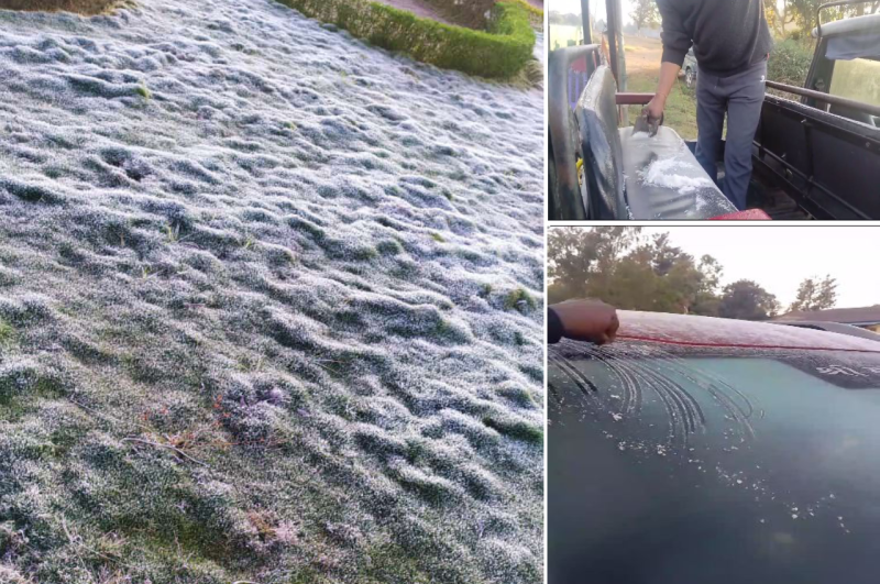 pachmarhi latest weather update