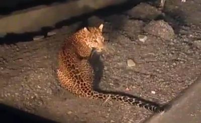 Short video poster image