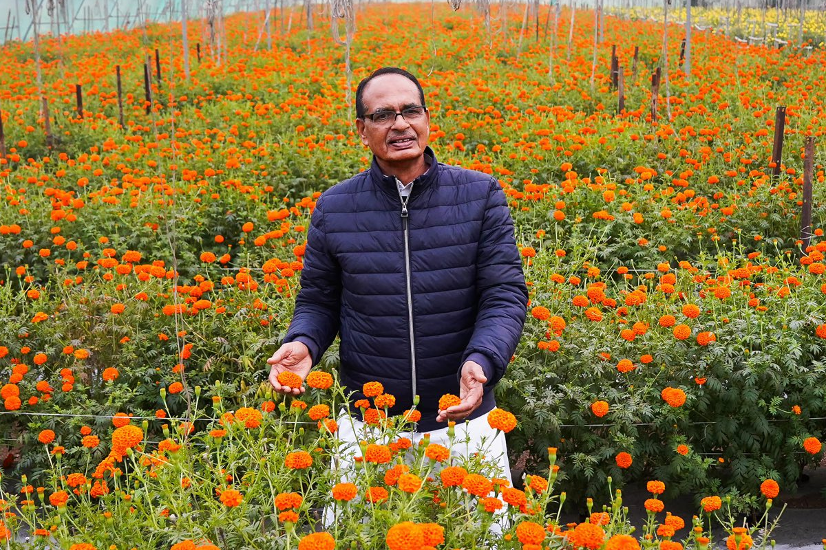 Shivraj Singh Chouhan : शिवराज सिंह चौहान फिर पहुंचे अपने खेत, पोस्ट शेयर कर
बोले- किसानी का आनंद अद्भुत