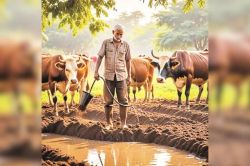 गोपाल क्रेडिट कार्ड योजना में बड़ा बदलाव, अब पशुपालकों को ब्याज-मुक्त लोन के लिए
गिरवी नहीं रखनी पड़ेगी अपनी संपत्ति - image