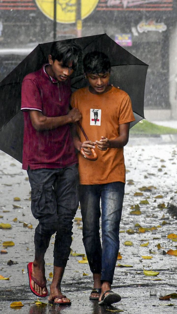 CG Weather Update: नया सिस्टम होगा एक्टिव! बारिश व शीतलहर का अलर्ट जारी