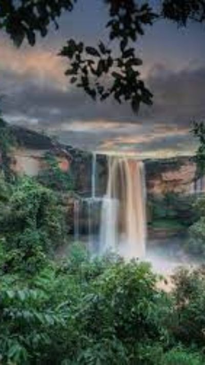 Short video poster image