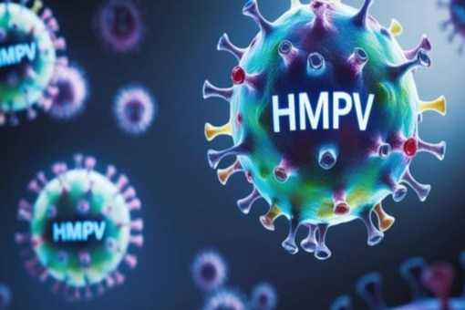 HMPV virus