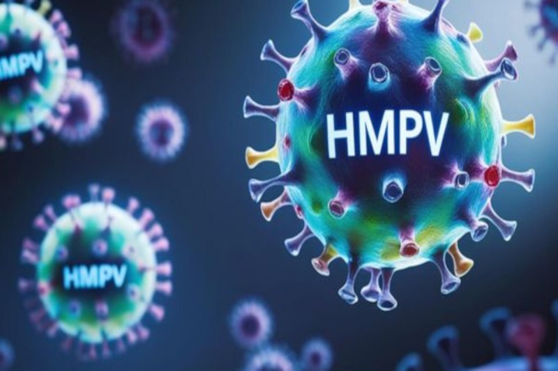 HMPV virus