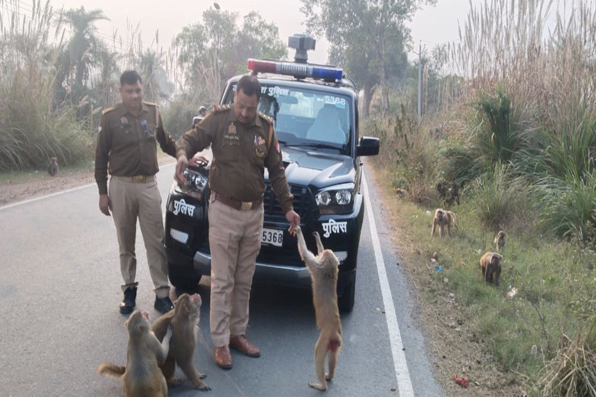 Humanity in Action: भीषण सर्दी में मानवता की मिसाल: पुलिस इंस्पेक्टर का बंदरों
को केला खिलाते वीडियो वायरल