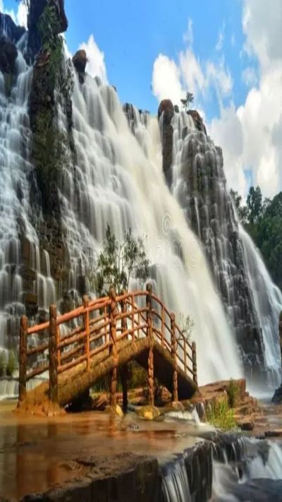 Short video poster image