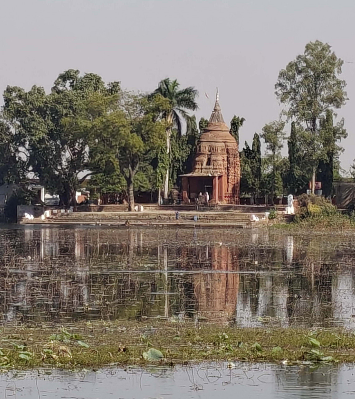 CG Tourism: पर्यटन का संगम है 7वीं-8वीं शताब्दी का सिद्धेश्वर शिव मंदिर, देखें
तस्वीरें