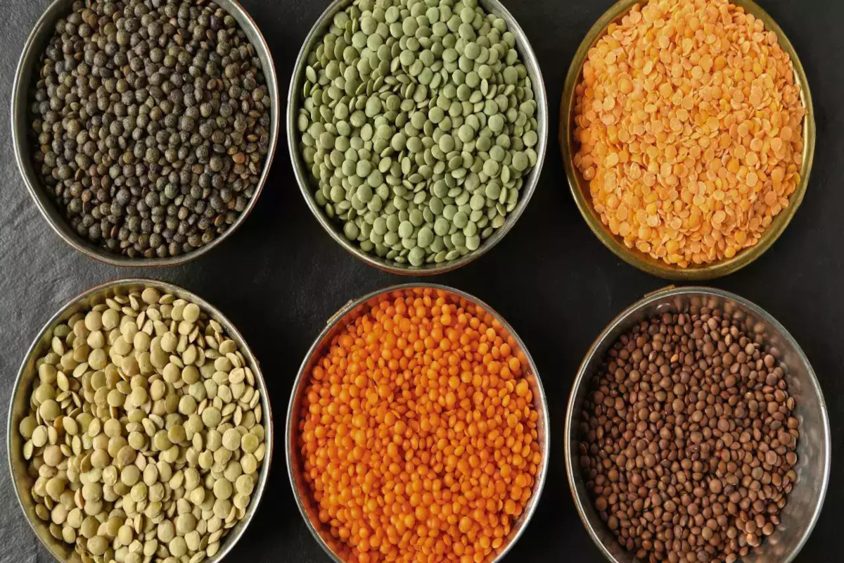 Dal Prices News: नई फसल के आगमन से गिरे दालों के दाम, उपभोक्ताओं को मिली राहत