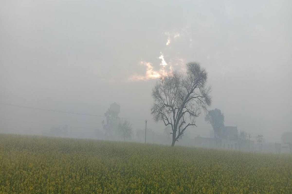 Rajasthan Weather : गुलाबी नगर में आज फिर बदला मौसम का मिजाज, बादल छाए