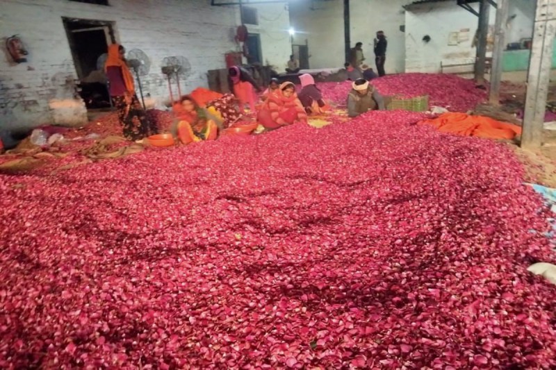 Mouni Amavasya Sangam Snan