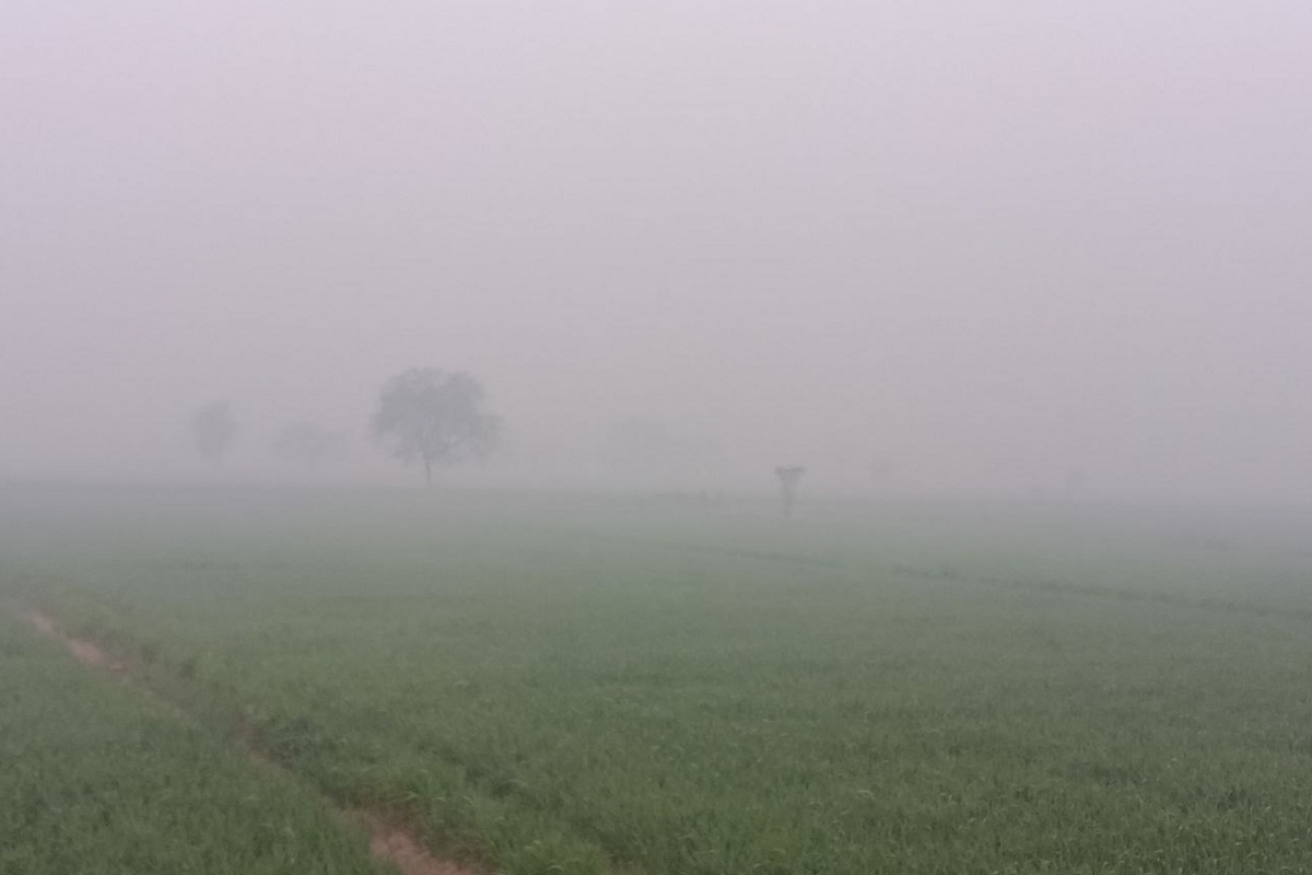 Rajasthan Weather : मौसम में बढ़ी गर्माहट, गुलाबी हुआ गुलाबी नगर का मौसम