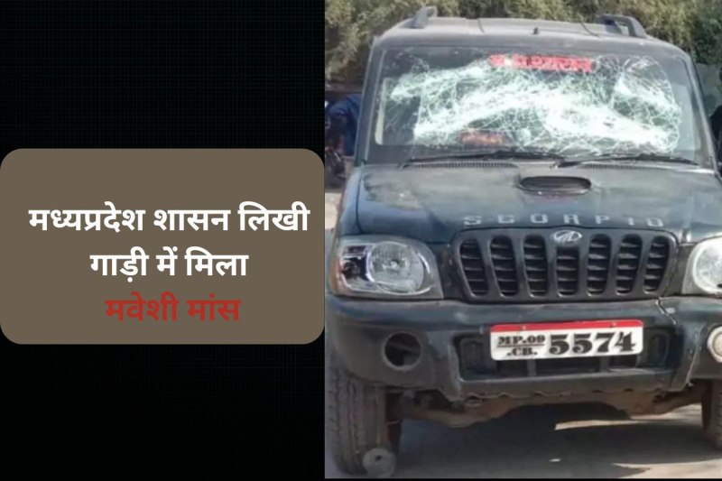 Cattle meat found invehicle with MP Government written on it