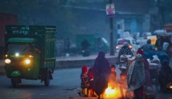 UP Weather: अगले 48 घंटे भयानक ठंड और कोहरे का अलर्ट, जाने मौसम विभाग की चेतावनी - image