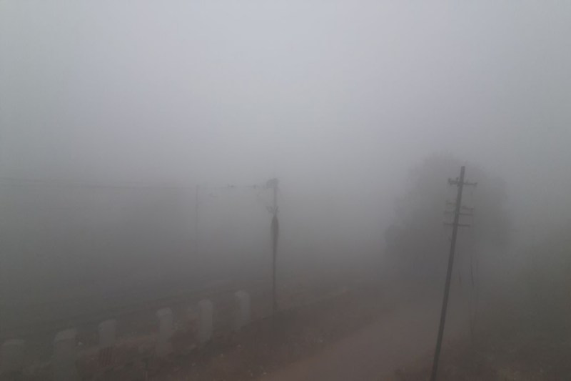 उत्तर प्रदेश में ठंड का कहर: शीतलहर और कोहरे से जनजीवन प्रभावित