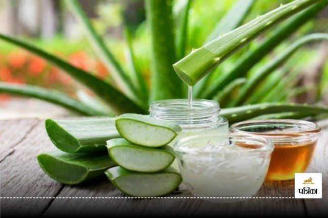 Aloe Vera For Hair 