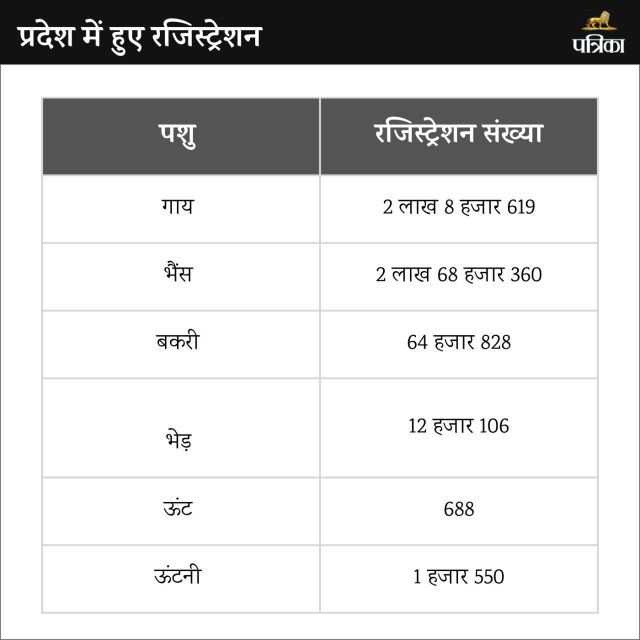 Mukhyamantri Mangla Pashu Bima Yojana