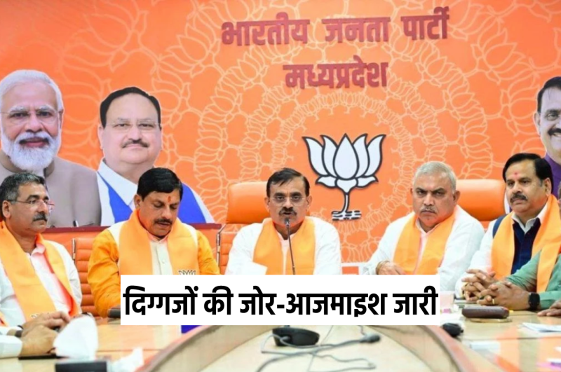 BJP Sangathan Election