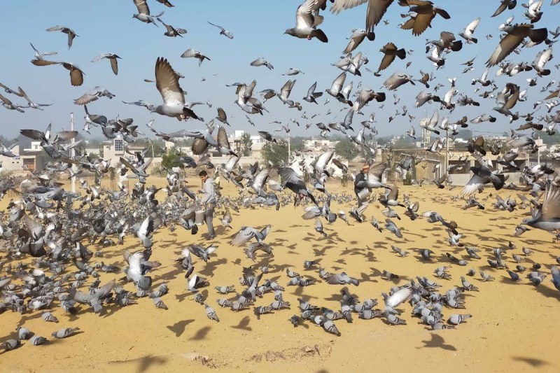 Baba Nathuram Ashram