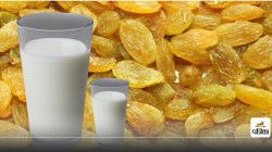 Benefits of raisins in milk : रोज़ाना दूध में किशमिश का जादू आजमाएं - image