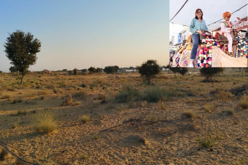 Bikaner Camel Festival 2025