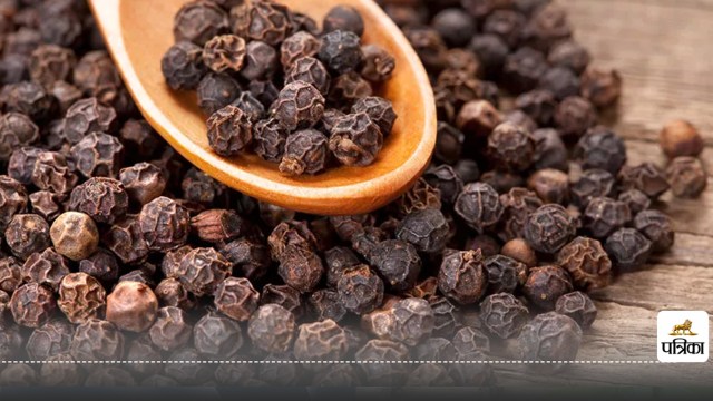 Use of black pepper for migraine relief