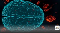 Brain Eating Amoeba Can India be the next victim Learn the ways to protect yourself now