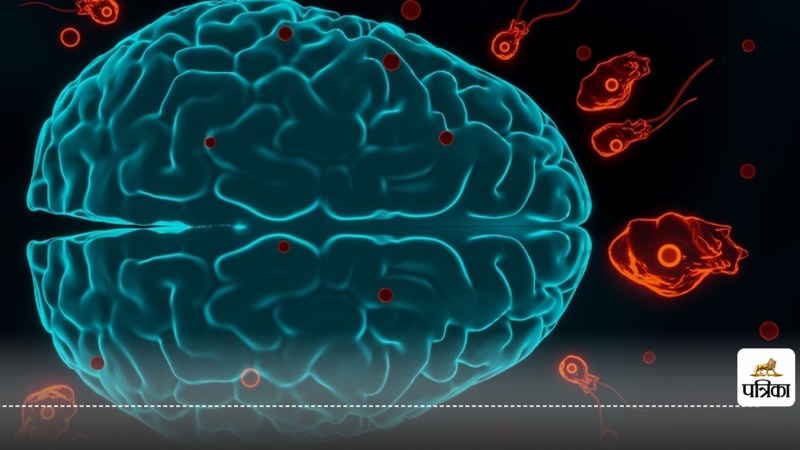 Brain Eating Amoeba Can India be the next victim Learn the ways to protect yourself now