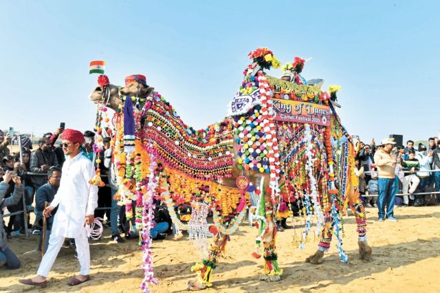 Camel Festival 2025