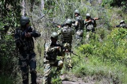 Chaibasa Encounter: मुठभेड़ में दो नक्सली ढेर, सुरक्षाबलों ने बरामद की INSAS
राइफलें - image