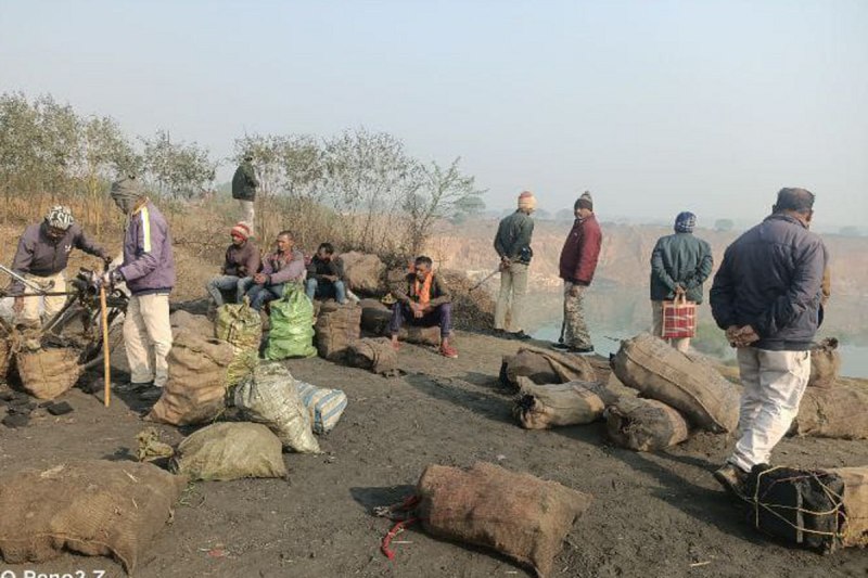 Coal thieves arrested