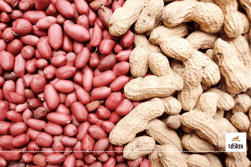 Cold water after peanuts: Is it right to drink water after eating peanuts, know what Ayurveda says