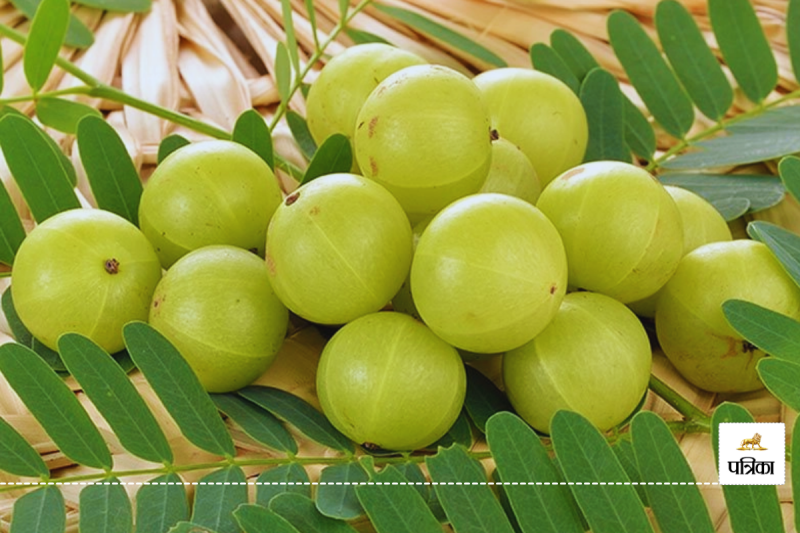 Problems that can be overcome with superfood Amla