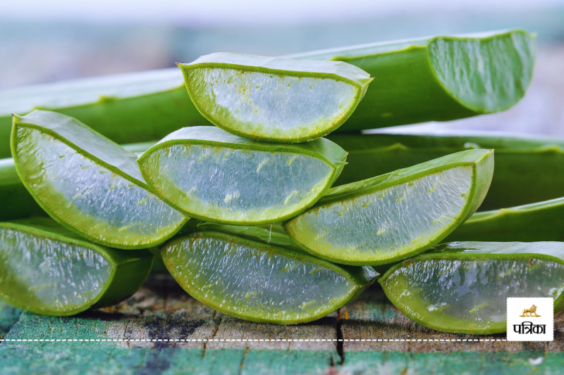 Benefits of aloe vera for hair