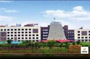 CG Government Job