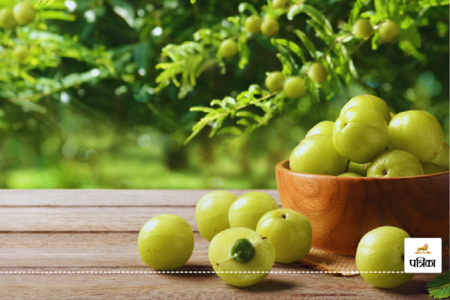 Benefits of applying Amla to the hair