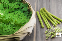 Benefits of Moringa